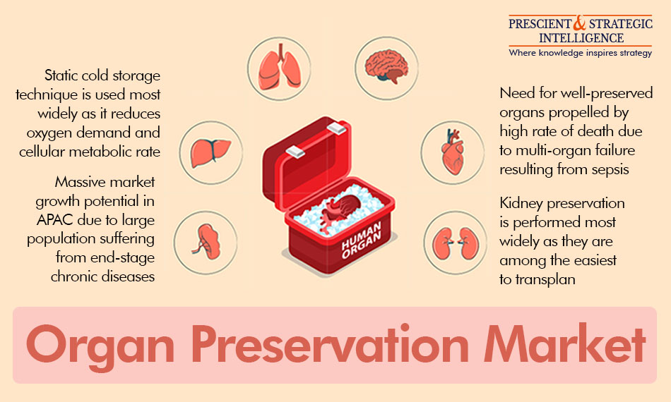 Organ Preservation