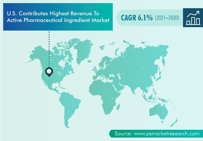 Active Pharmaceutical Ingredient Market Geographical Insight