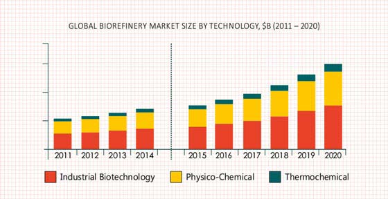 Biorefinery Market