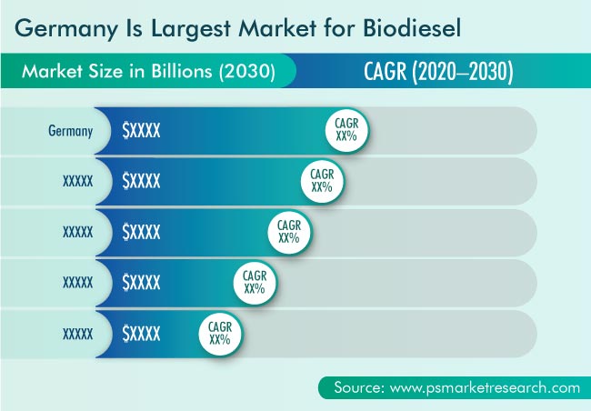 Biodiesel Market Geographical Insight