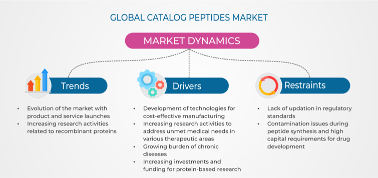 Catalog Peptides Market