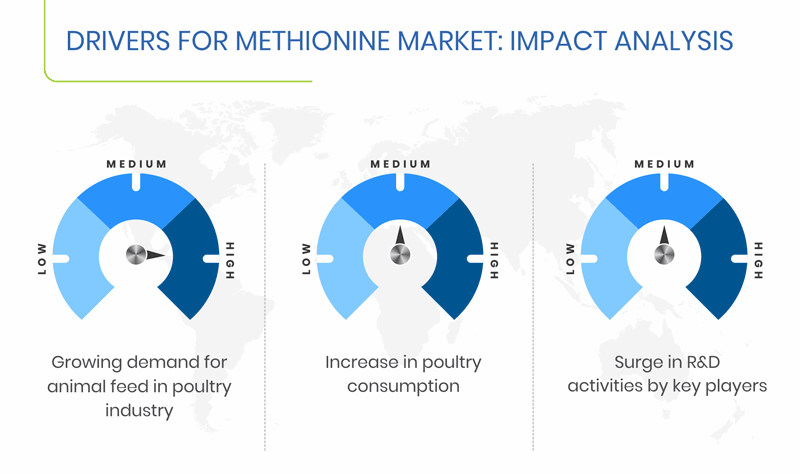 Methionine Market