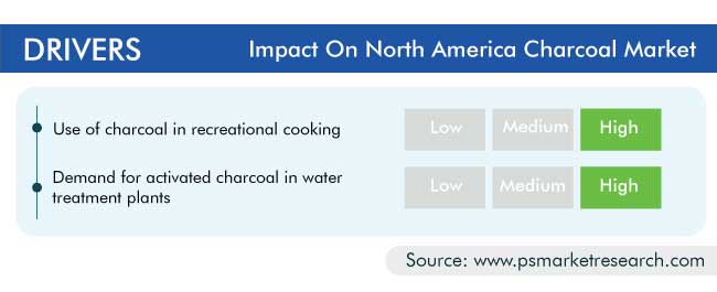 North America Charcoal Market