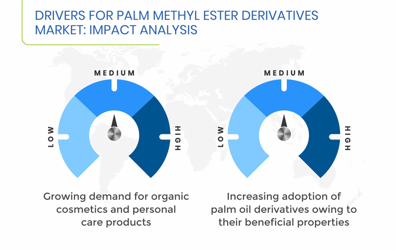 Palm Methyl Ester Derivatives Market