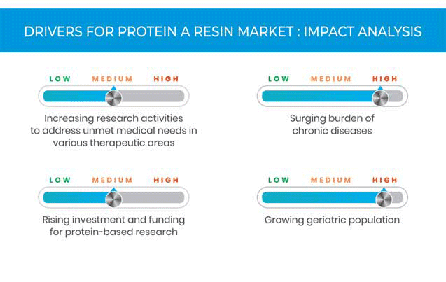 Protein A Resin Market