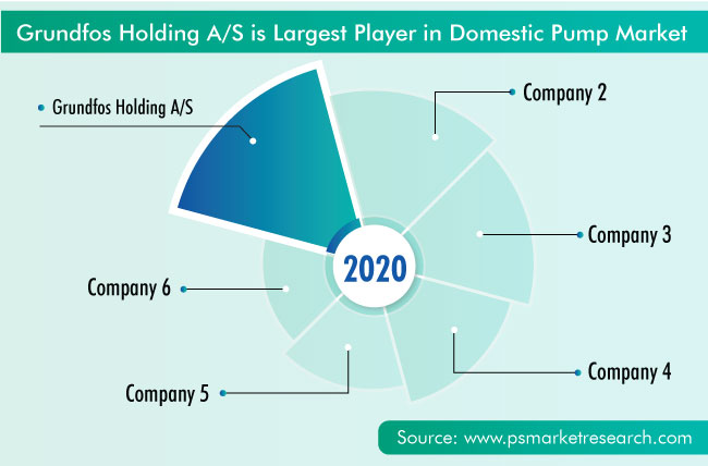 Domestic Pump Market Competition Analysis