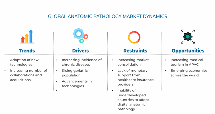 Anatomic Pathology Market Drivers