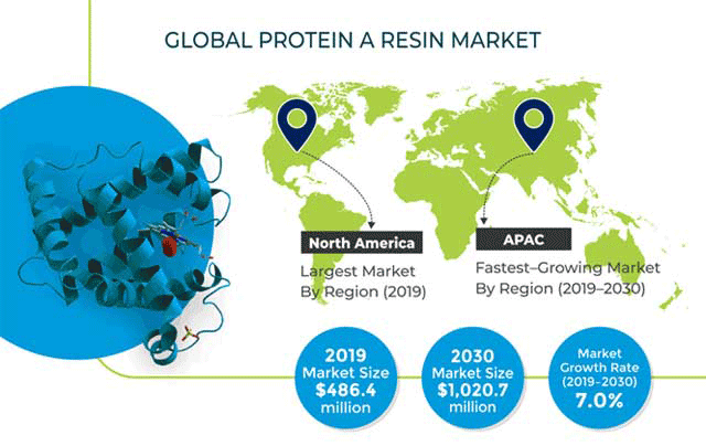 Protein A Resin Market