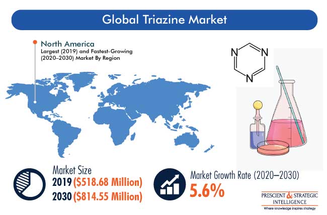 Triazine Market Outlook