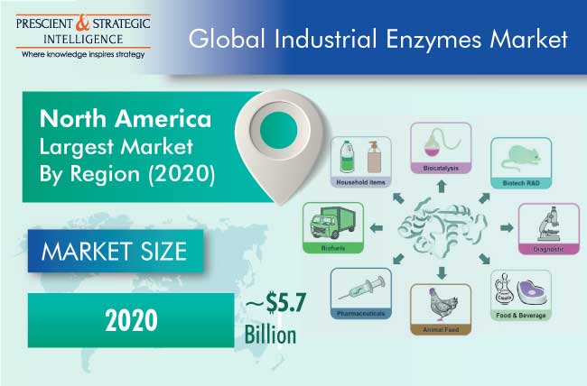 Industrial Enzymes Market Outlook