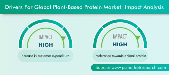 Plant-Based Protein Market Drivers