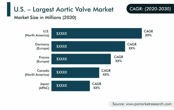 Aortic Valve Market