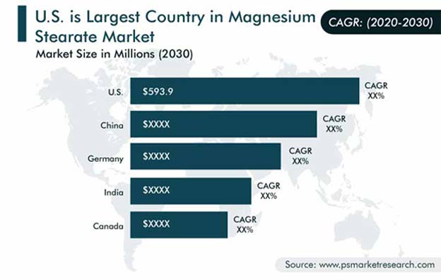 Magnesium Stearate Market