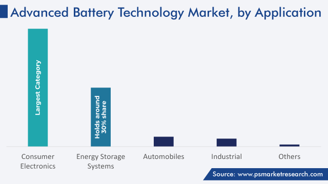 Advanced Battery Technology Market Analysis by Type