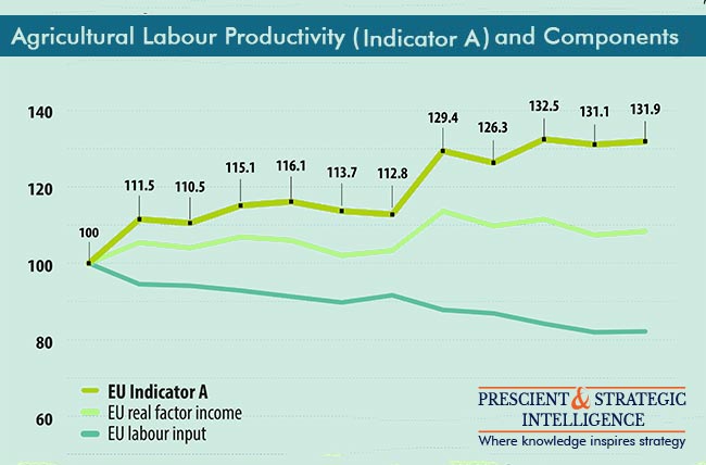 Agricultural Labor Productivity Components