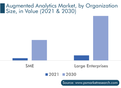Augmented Analytics Market, by Organization