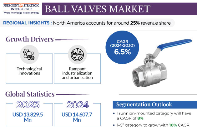 Ball Valves Market Growth Insights