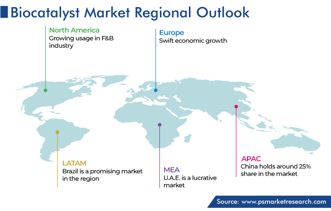 Biocatalyst Market Geographical Analysis