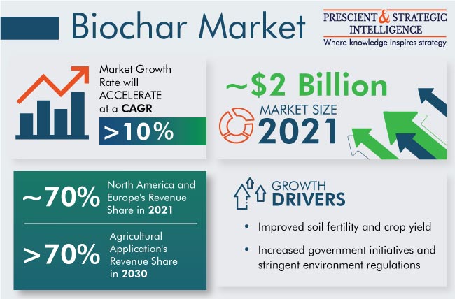 Biochar Market Overview