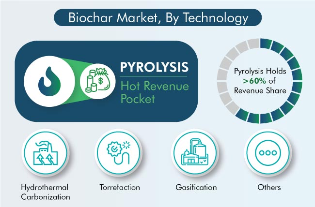 Biochar Market Segmentation Analysis