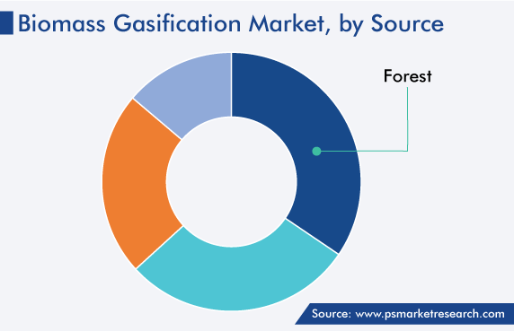 Biomass Gasification Market, by Source