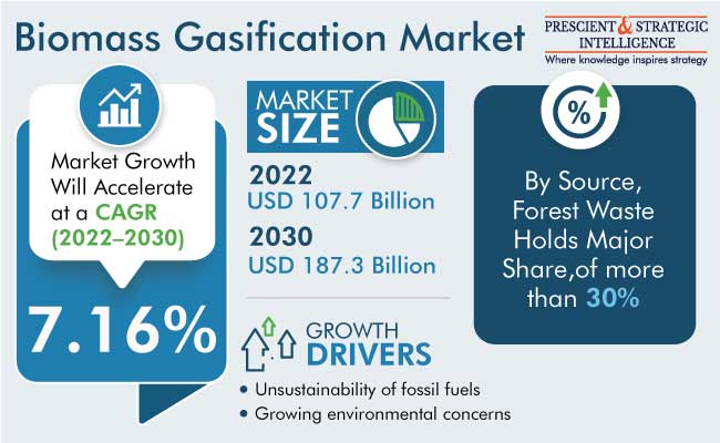 Biomass Gasification Market Outlook