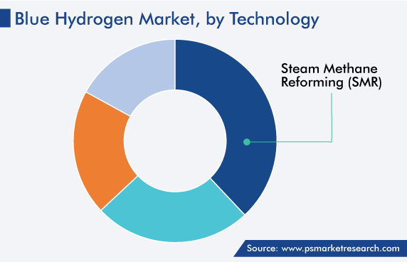 Global Blue Hydrogen Market, by Technology
