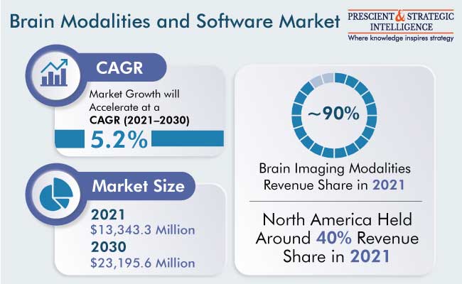 Brain Modalities and Software Market Insights