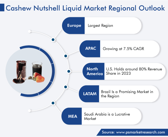 Cashew Nutshell Liquid Market Regional Analysis