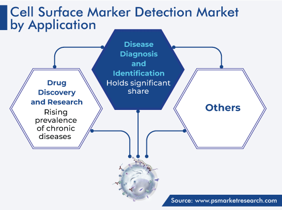 Cell Surface Marker Detection Application