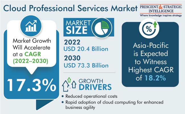 Cloud Professional Services Market Outlook