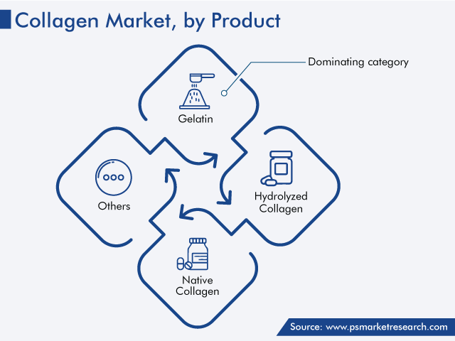 Collagen Market Analysis by Product