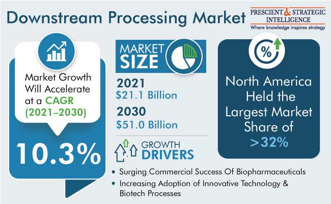 Downstream Processing Market Insights