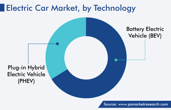 Electric Car Market, by Type