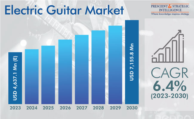 Electric Guitar Market Insights