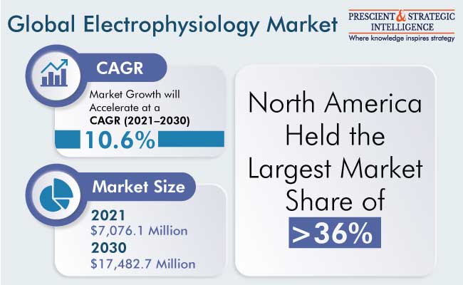 Electrophysiology Market Insights