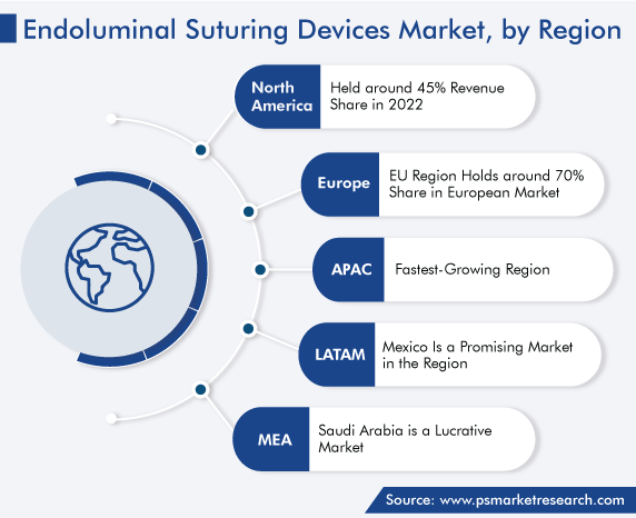 Global Endoluminal Suturing Devices Market, by Region