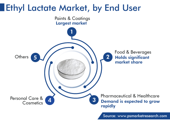 Ethyl Lactate Market Segmentation Analysis by End User
