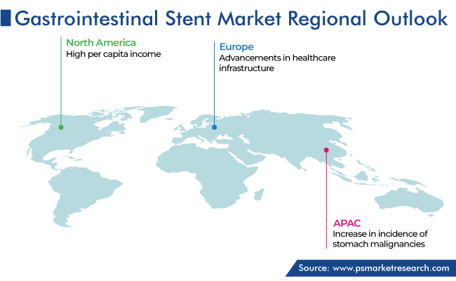 Gastrointestinal Stent Market Geographical Analysis