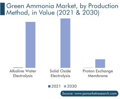 Green Ammonia Market by Production Method