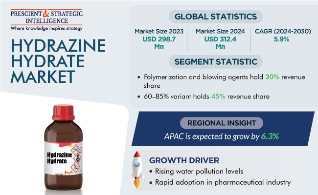 Hydrazine Hydrate Market Revenue Size