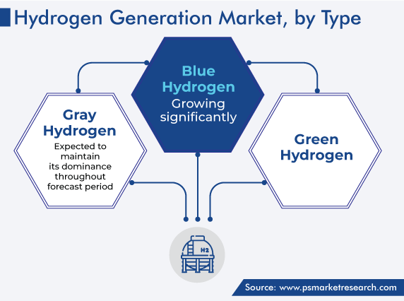 Global Hydrogen Generation Market, by Type
