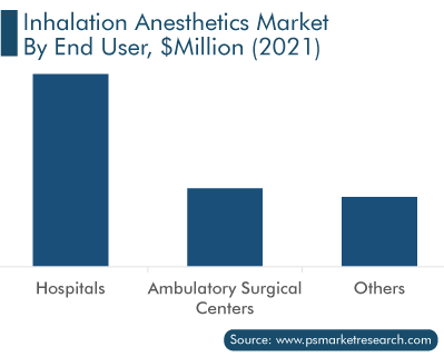 Inhalation Anesthetics Market, Segmentation Analysis