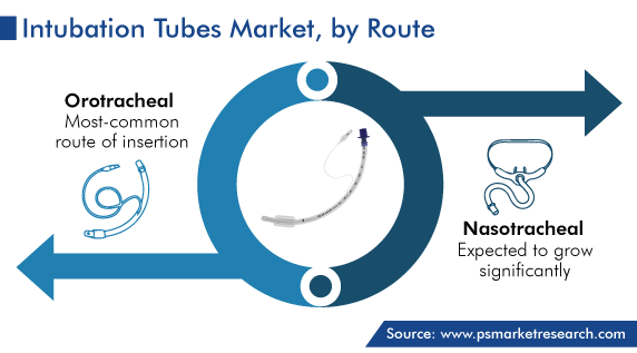 Global Intubation Tubes Market by Route