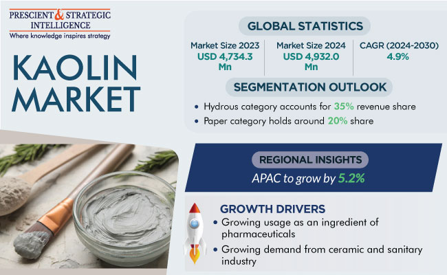 Kaolin Market Insights Report