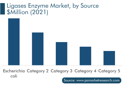 Ligases Enzyme Market, by Source