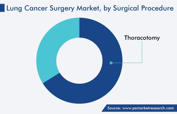 Global Lung Cancer Surgery Solutions Market, by Surgical Procedure