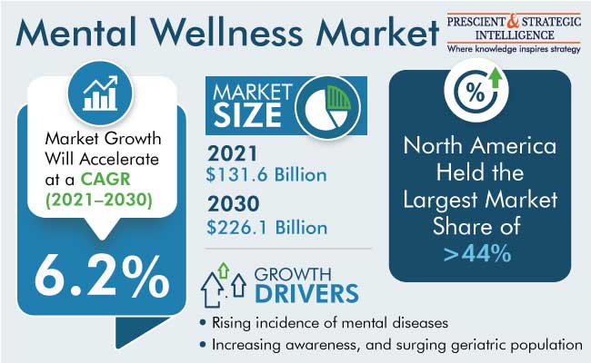 Mental Wellness Market Insights