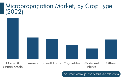 Micropropagation Market, by Crop Type