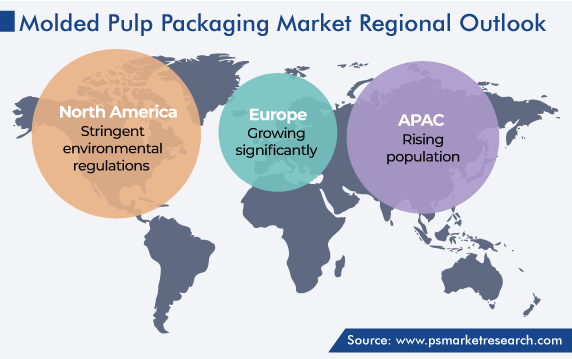 Molded Pulp Packaging Market Geographical Analysis